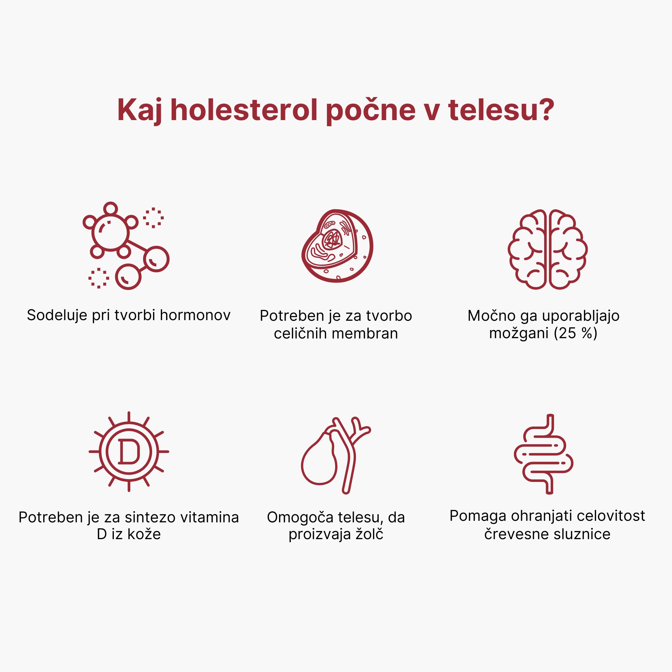 (Slovinština) Co má v těle na starost cholesterol